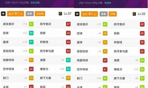 中国球员经纪人-国家队明星经纪人