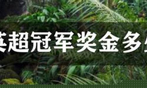 英超比赛奖金-英超冠军奖金多少钱