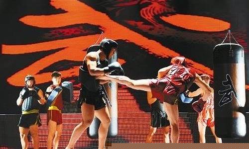中国散打国家队基地-中国散打俱乐部