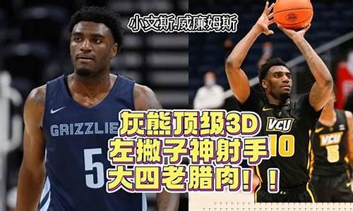 什么是篮球3d球员呢-什么是篮球3d球员