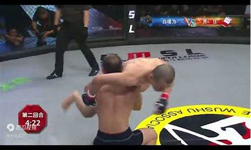大成武艺mma超级联赛花都-大成武艺公司创始人